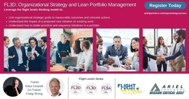 FL3D: Organizational Strategy & Lean Portfolio Management